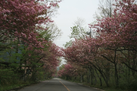 c0128303_2335540.jpg