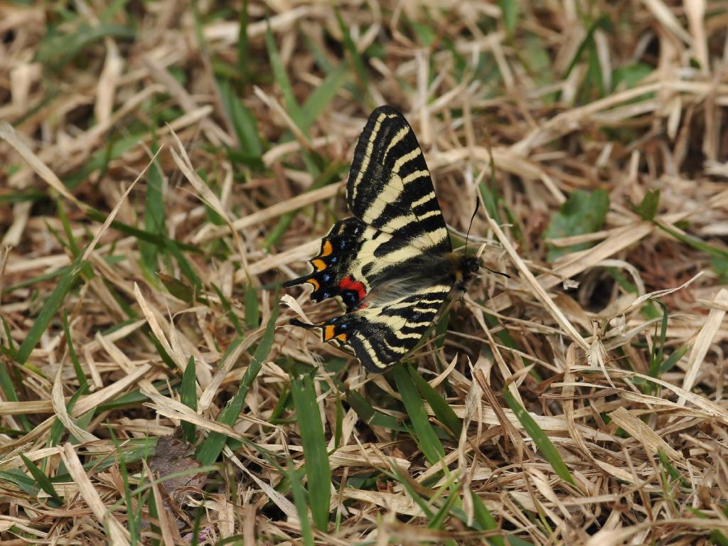 e0103903_13205673.jpg