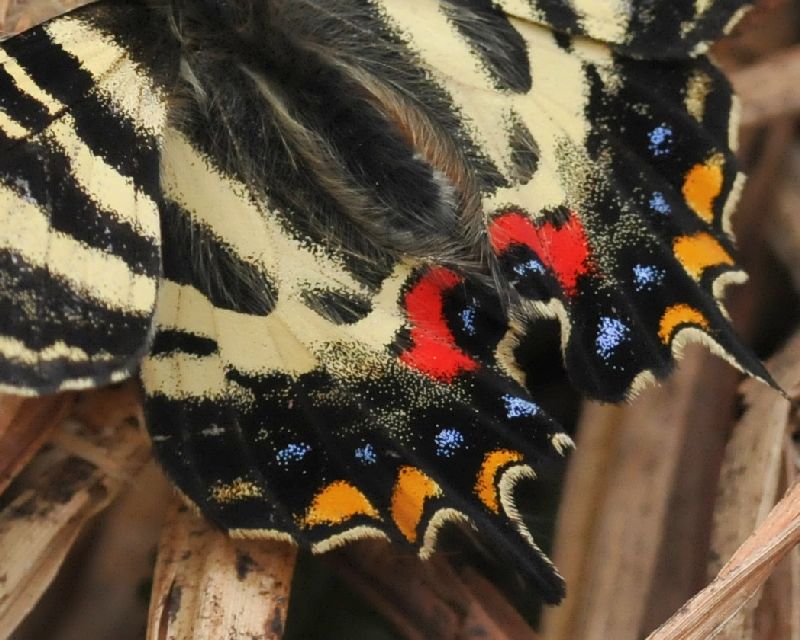 e0103903_13254823.jpg