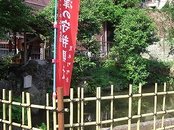 江戸屋敷にあった神社(9) 金丸稲荷神社_c0187004_1857279.jpg