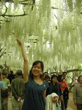 藤!藤!ふじ~_a0115906_9311664.jpg