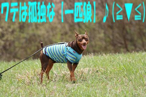 e0100007_14123673.jpg