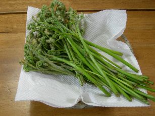 c0149408_2142787.jpg