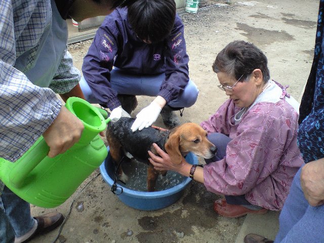 招さま…_d0099708_8114916.jpg