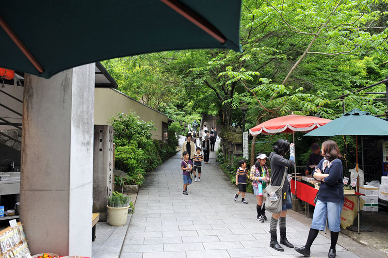 篠栗 南蔵院 2_a0042310_13275769.jpg
