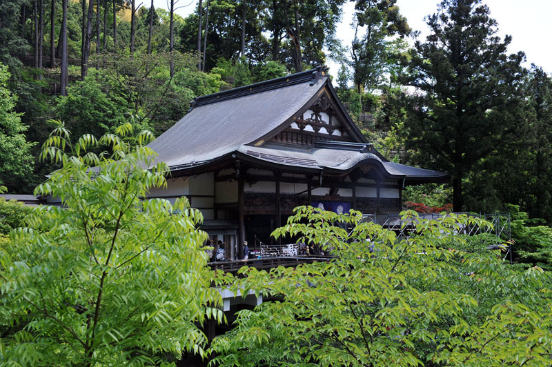 篠栗 南蔵院 2_a0042310_13304467.jpg