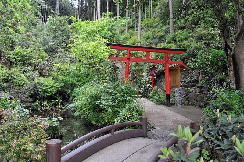 篠栗 南蔵院 2_a0042310_13361934.jpg