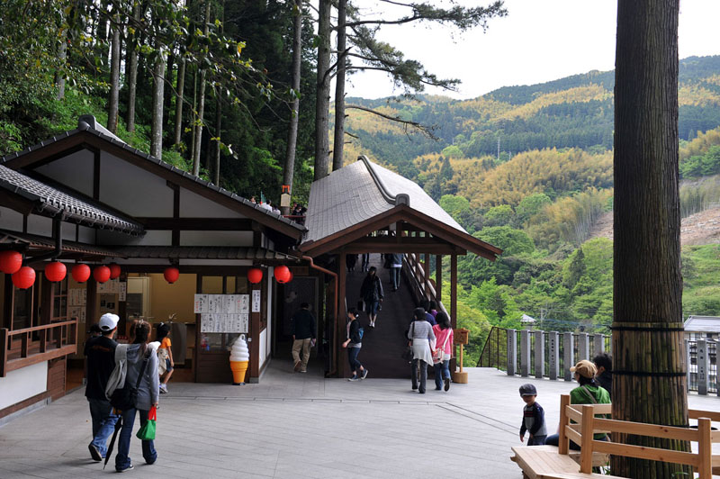 篠栗 南蔵院 2_a0042310_13444563.jpg