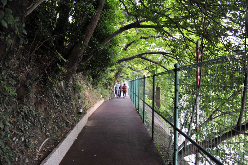 篠栗 南蔵院 2_a0042310_13464641.jpg