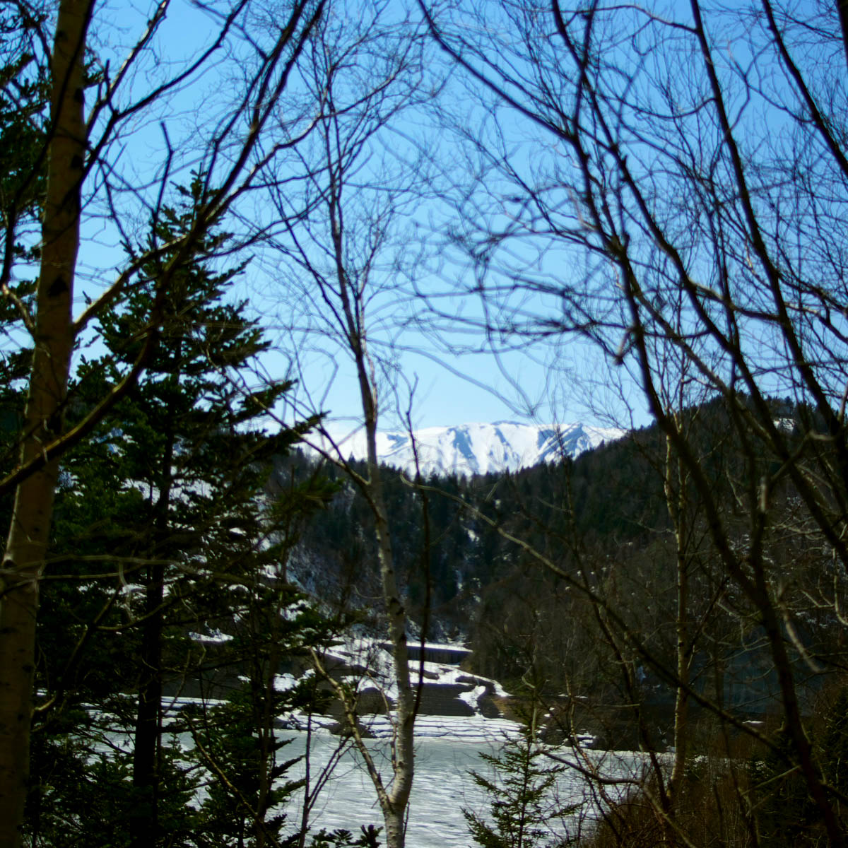 e0142611_11212783.jpg