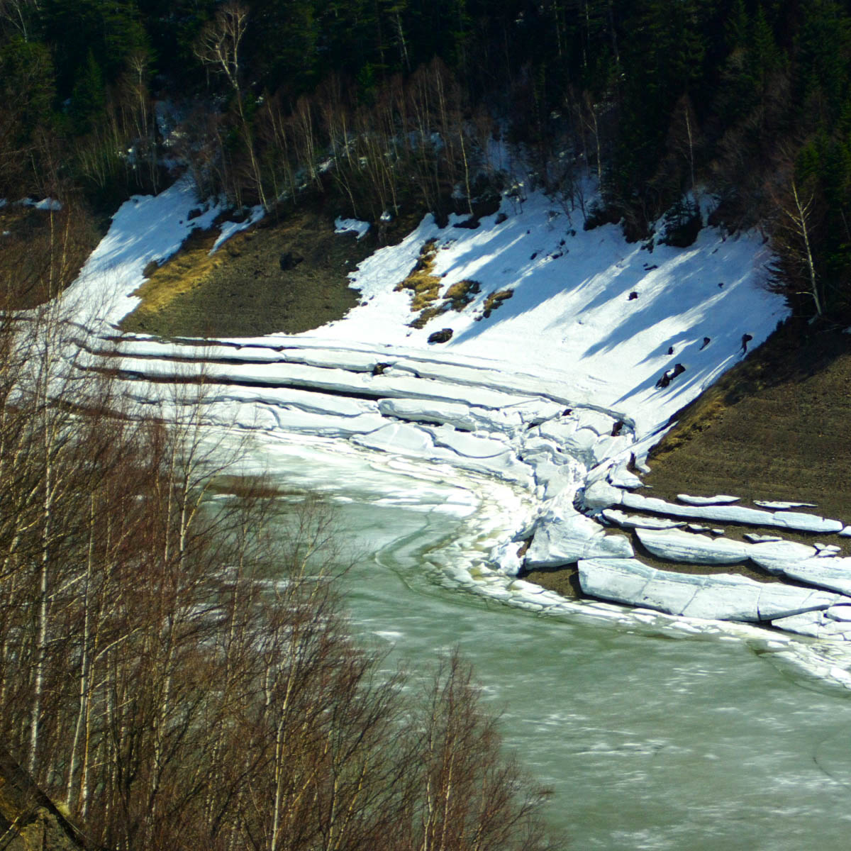 e0142611_11242090.jpg
