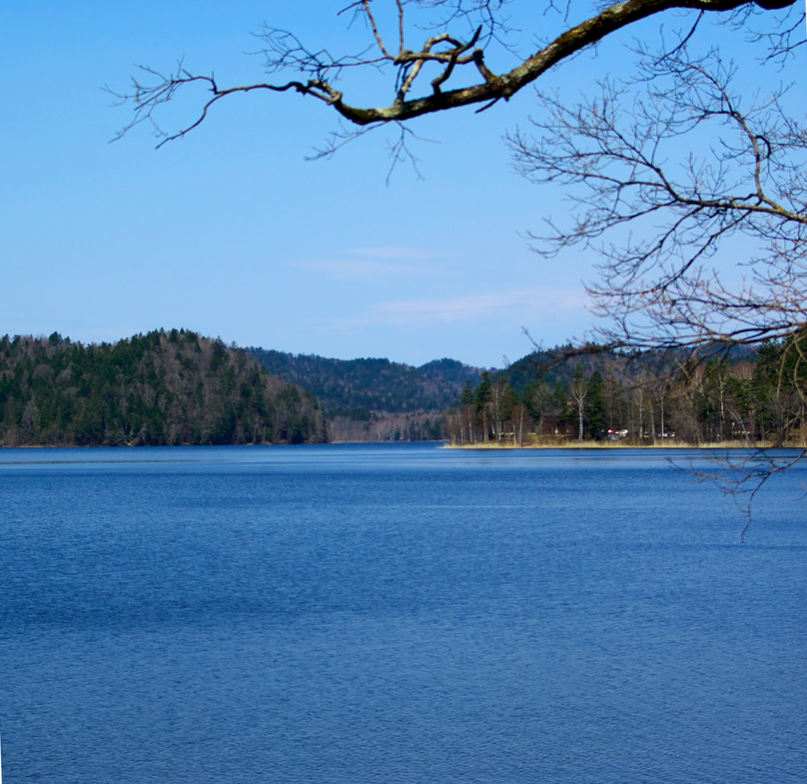 e0142611_8461842.jpg