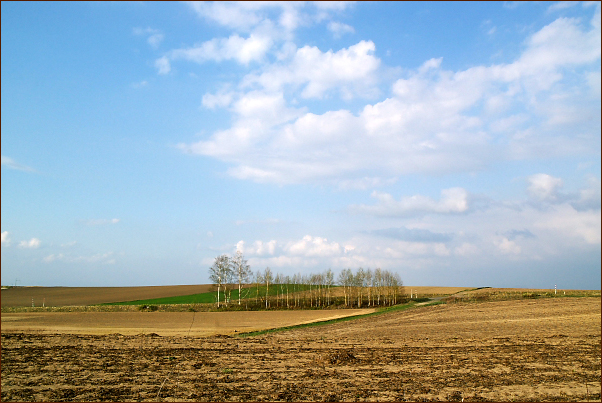c0033513_1859155.jpg