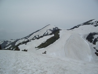 d0100314_9584957.jpg