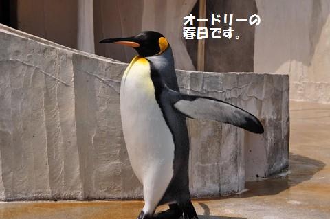 2009.5.2　動物園　①_f0046614_2047374.jpg