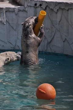 2009.5.2　動物園　②_f0046614_205959.jpg