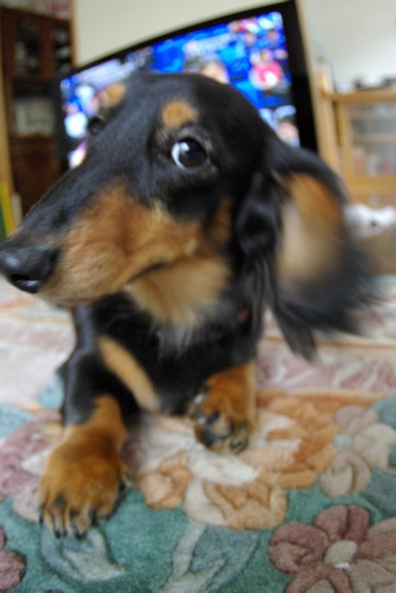 c0152317_2135282.jpg