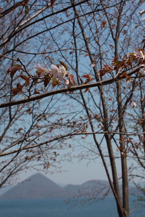 a0084221_16144242.jpg