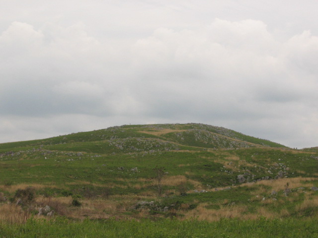 b0163121_17301937.jpg