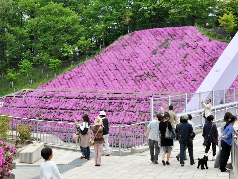 つつじ祭りとレッサーパンダ_d0072521_22454273.jpg