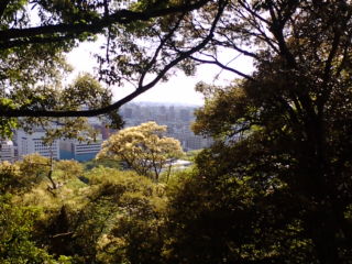 a0113323_240519.jpg