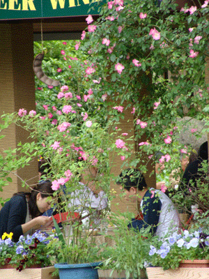 d0002224_17314999.gif