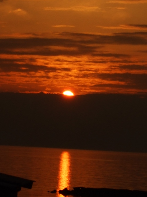 a0040929_20222576.jpg