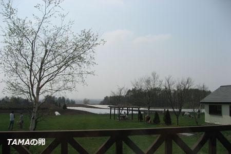 c0024729_10384351.jpg
