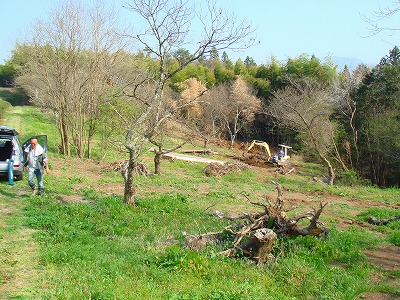 b0147630_1521774.jpg