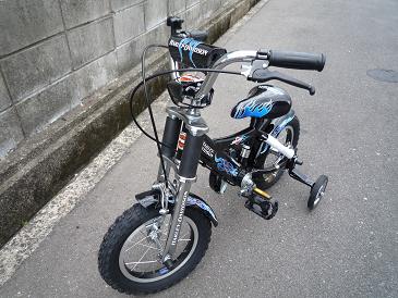 自転車＆バーベキュー☆彡（ノ≧∇≦）ノ ~~イェ～～イ☆_a0114535_7343910.jpg