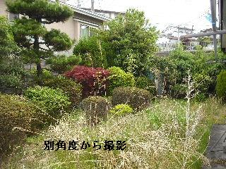 仕事いろいろ_f0031037_19355617.jpg