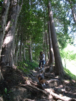 c0119142_13522145.jpg