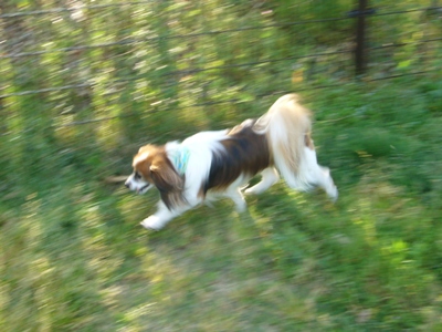 e0100046_14535672.jpg