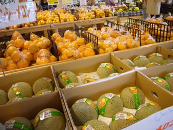 e0100046_14565595.jpg