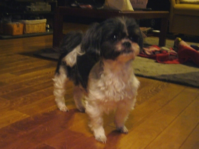 e0100046_15133542.jpg