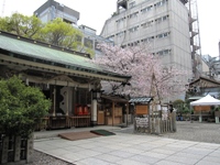 c0060651_8374674.jpg
