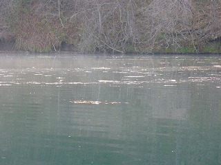 c0097652_1652764.jpg