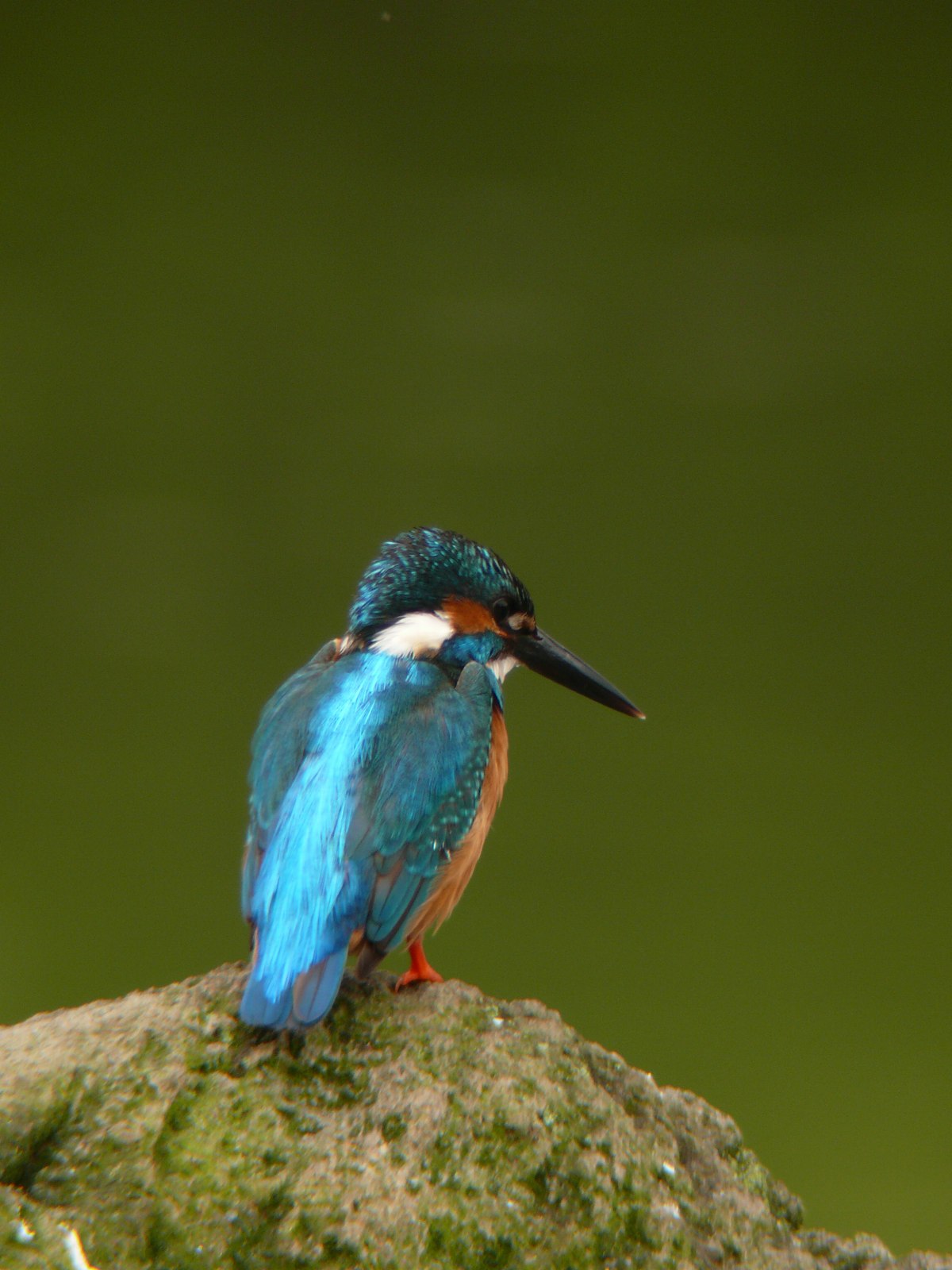 f0167258_20103334.jpg