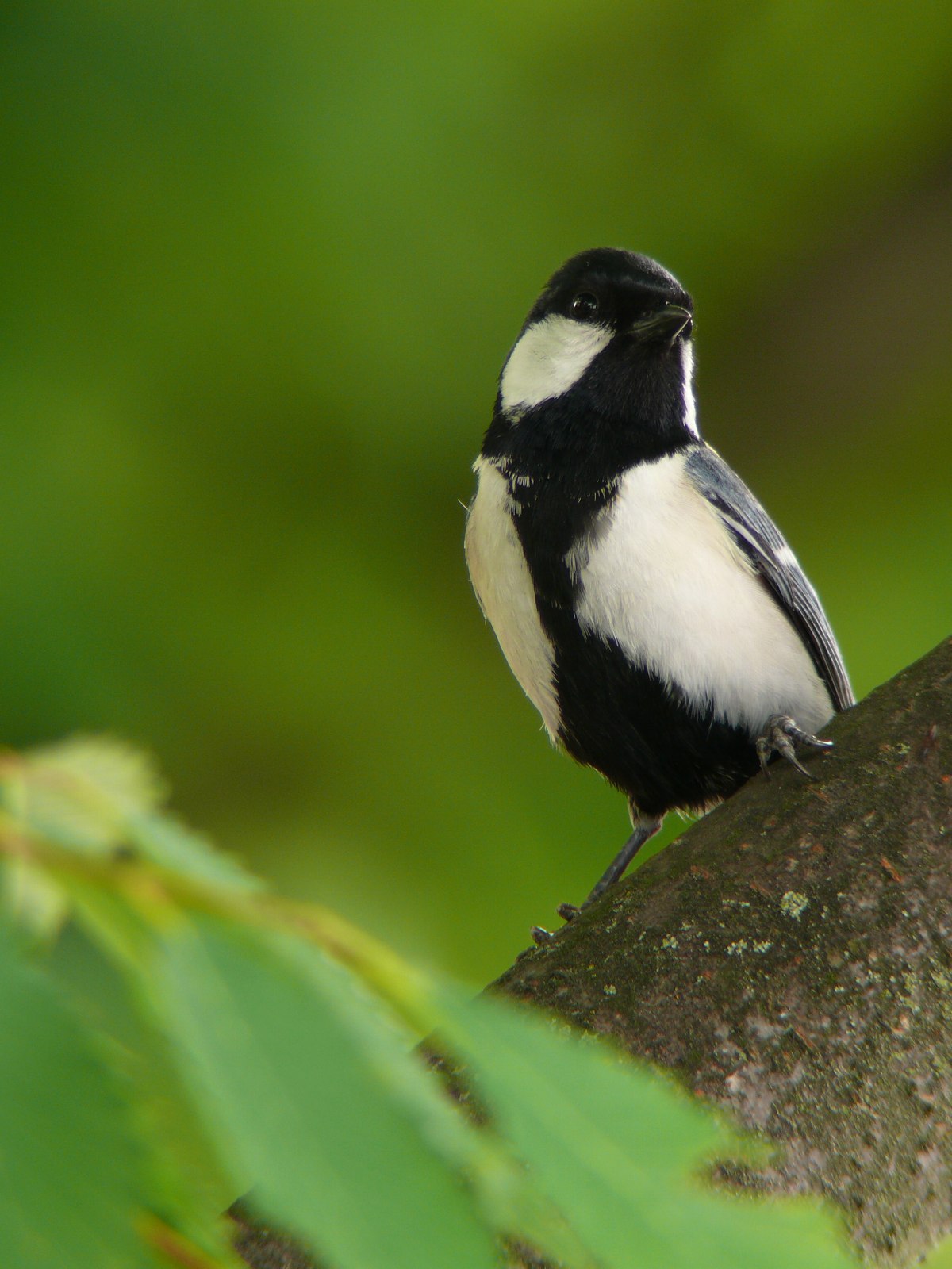 f0167258_2011525.jpg
