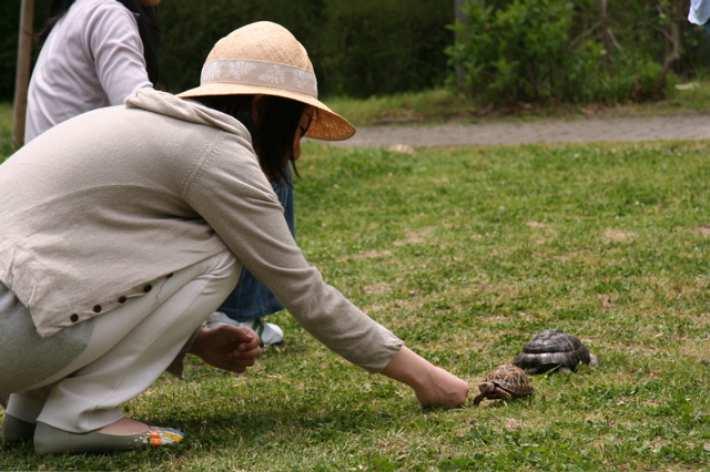 カメカメお散歩会_c0182661_1851777.jpg