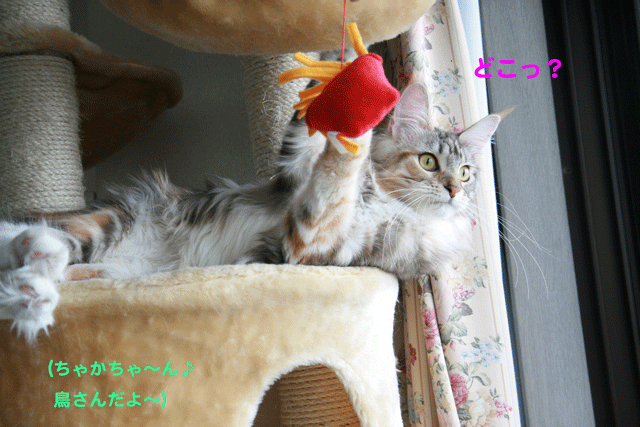 e0158561_14461659.gif