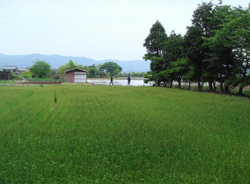 e0125762_13375555.jpg