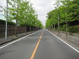 a0093965_14362237.jpg
