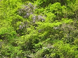 a0093965_21152863.jpg