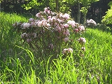 a0093965_21173415.jpg
