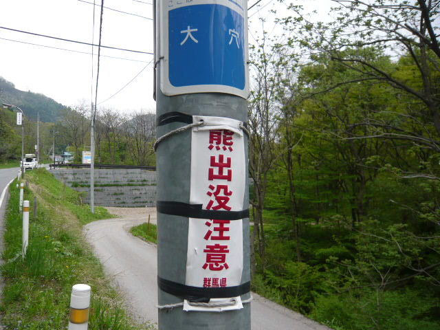 c0100865_1662499.jpg