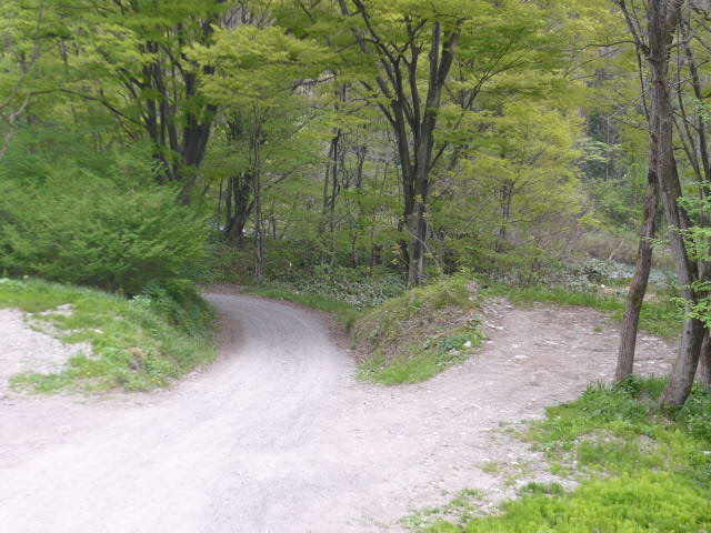 c0100865_1672160.jpg