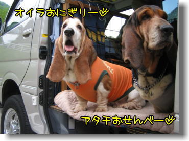 犬それぞれ・・・♪_f0204072_10351520.jpg