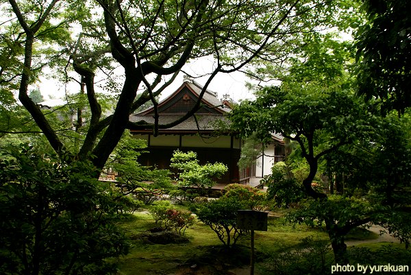 苔の楽園「銀閣寺」編・その２_d0030373_20415333.jpg