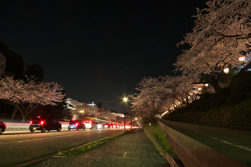 sakura-kanazawa5_d0147676_1449138.jpg